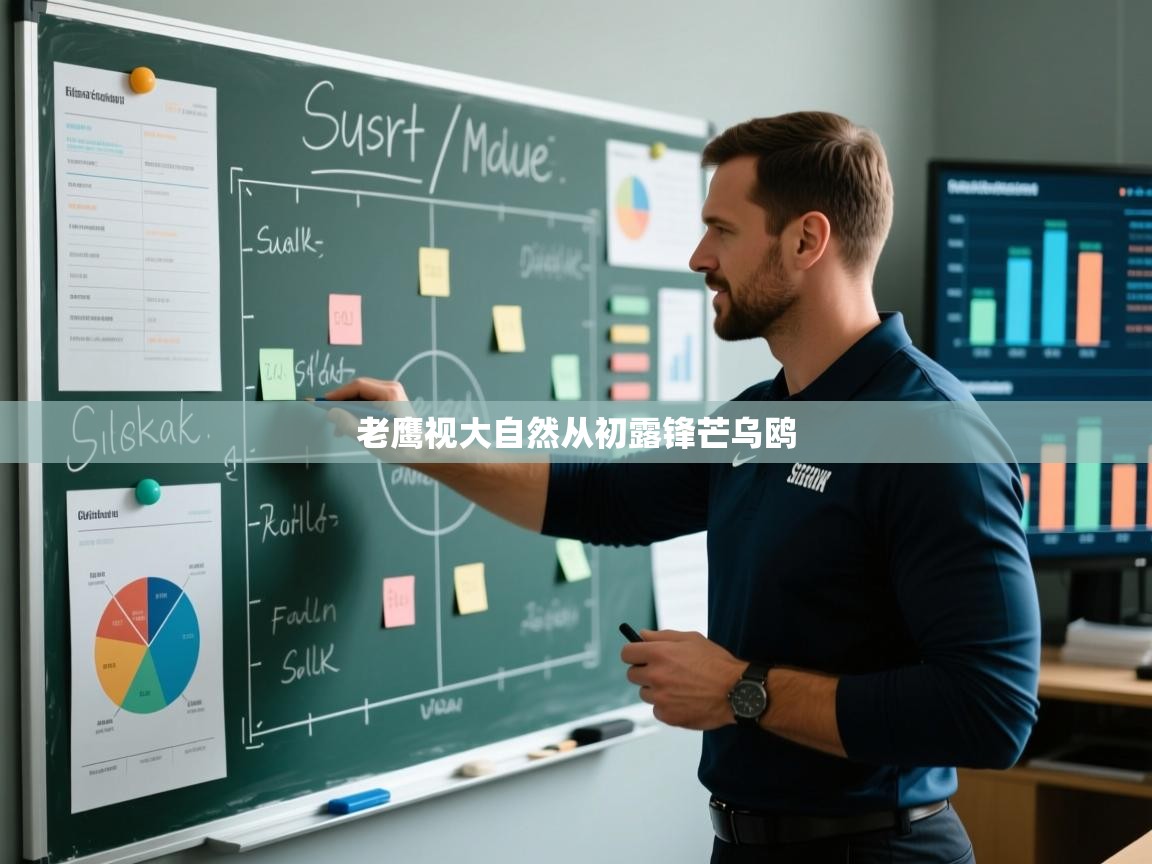 老鹰视大自然从初露锋芒乌鸥