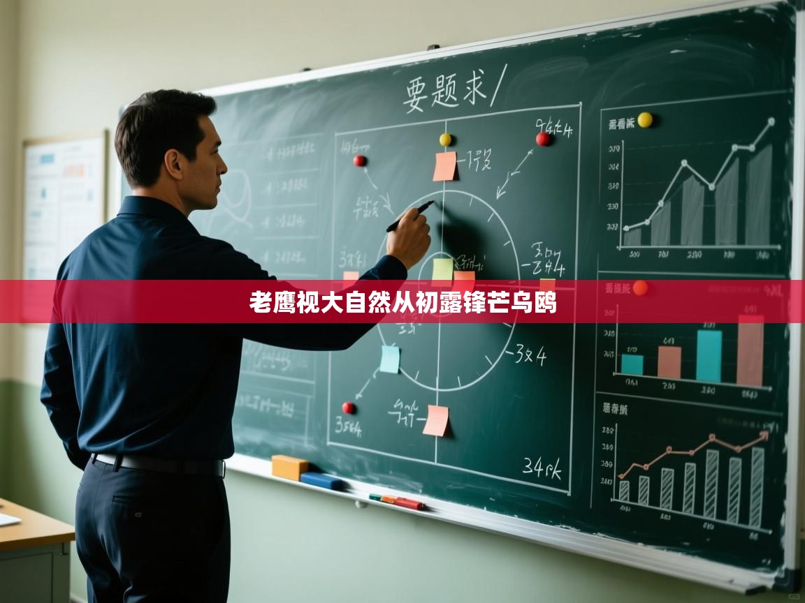 老鹰视大自然从初露锋芒乌鸥  第2张