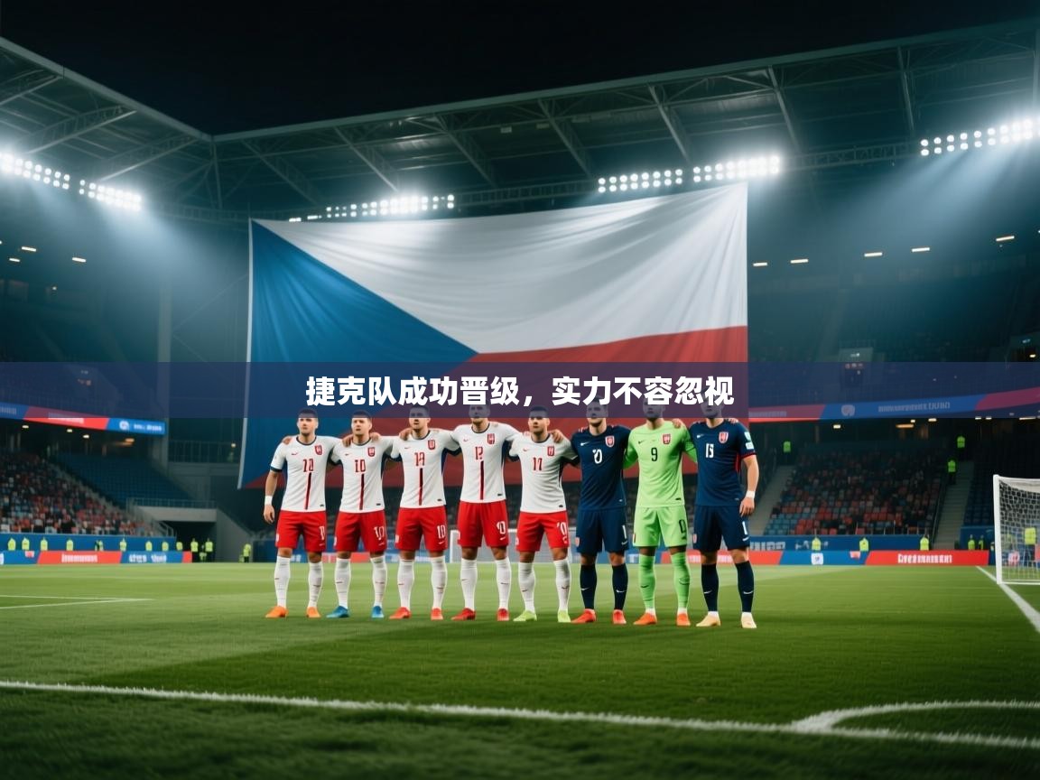 捷克队成功晋级，实力不容忽视  第2张