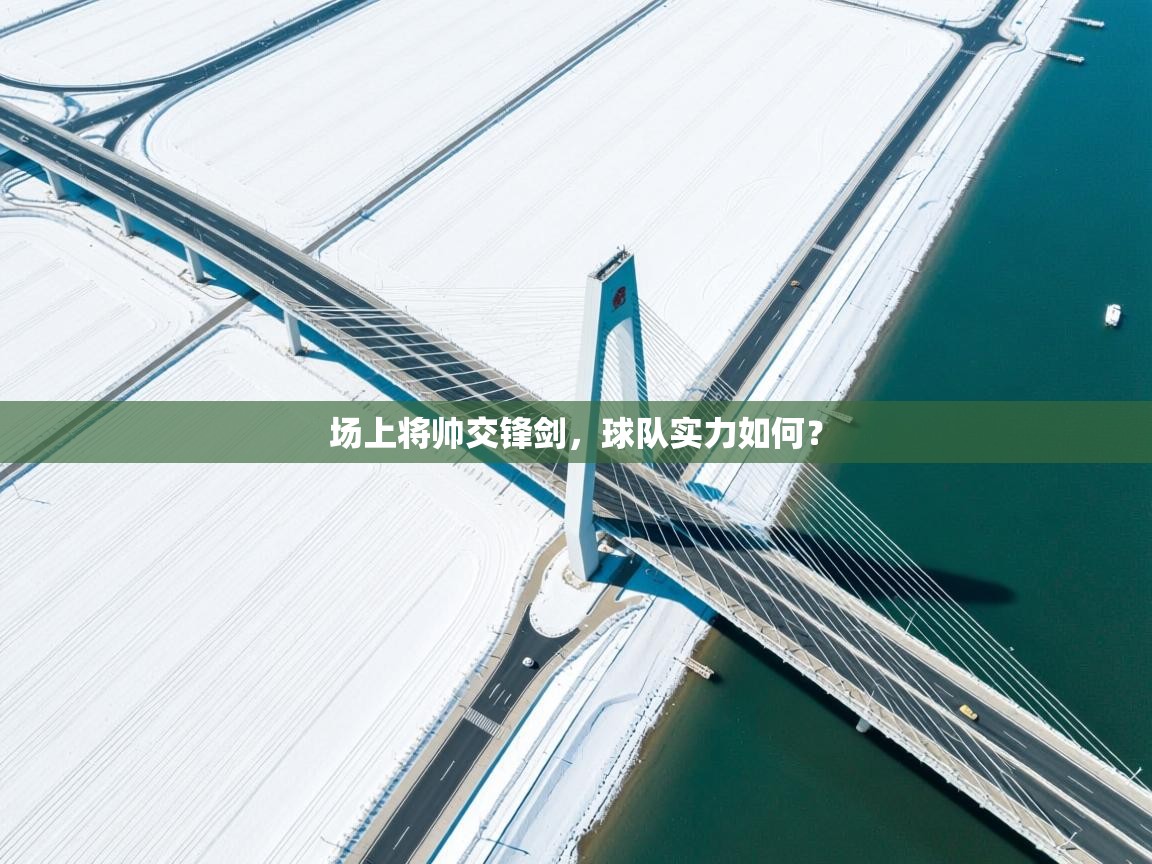 场上将帅交锋剑，球队实力如何？