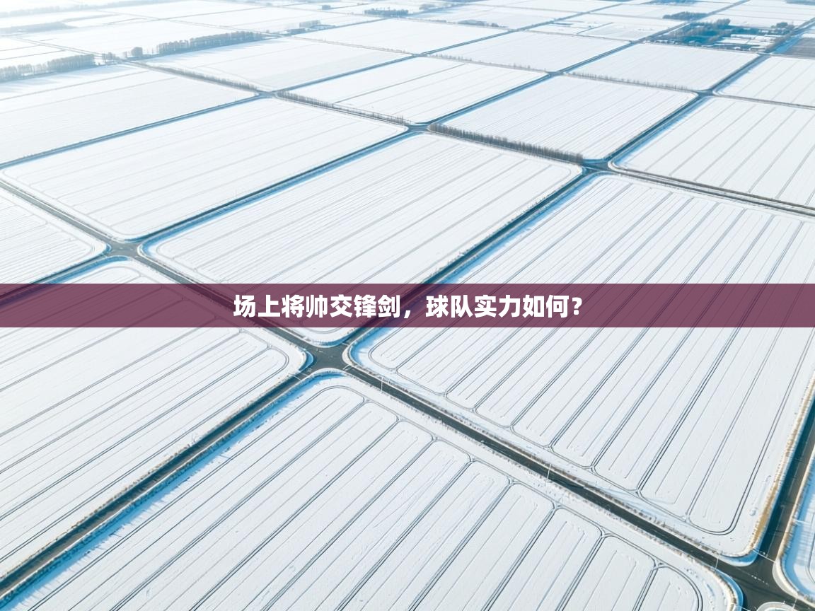 场上将帅交锋剑，球队实力如何？  第2张